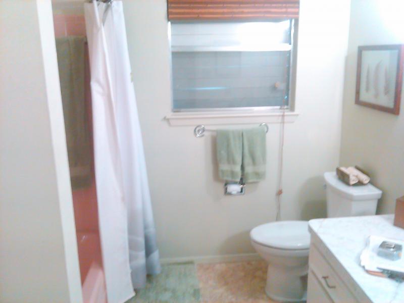 Before Bathroom Renovation
